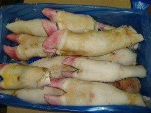 Frozen Cow Leg - Cooperativa Central Aurora Alimentos Frozen Cow Leg