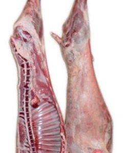 Frozen Lamb Half Carcass - Cooperativa Central Aurora Alimentos Frozen Lamb Half Carcass
