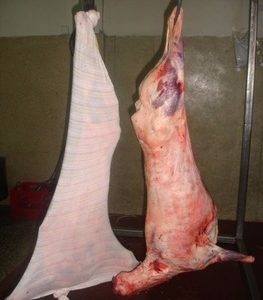 Frozen Lamb Whole Carcass - Cooperativa Central Aurora Alimentos Frozen Lamb Whole Carcass