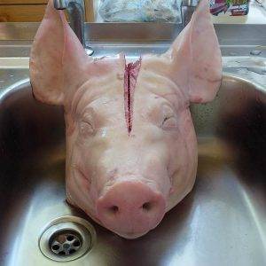 Frozen Pork Head
