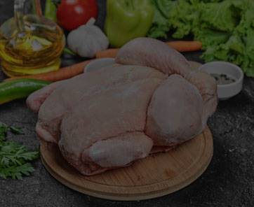 Frozen Chicken Wholesale Exporters - Cooperativa Central Aurora Alimentos Frozen Chicken Wholesale Exporters
