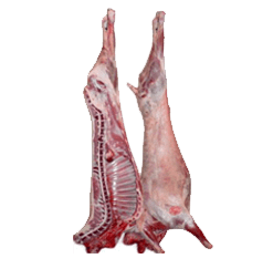 Frozen Buffalo Half Carcass